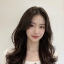찌니헤어 이미지