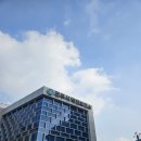 마음의 웃음꽃 바구니 이미지