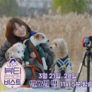 또하나의가족 이미지