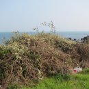 대포포구1 이미지