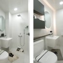 베네스트로즈 이미지