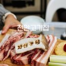 봉명셀프주유소 | 천안 야장 고기집 봉명동 자연농원 삼겹살이 맛있는 식당