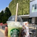 백조여성사우나 | 일본 숙소(가와구치코 료칸 추천)🤍 | 후지산 뷰 온천 - 슈호카쿠 코게츠✨ (Shuhokaku Kogetsu)