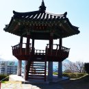 우암동 도시숲 이미지