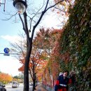 정장할머니경로당 이미지