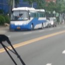 백조사 이미지