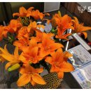 모세마취통증의학과의원 이미지