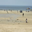 개미촌펜션 이미지