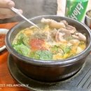 궁중한방족발