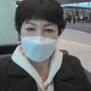 수출 농산물 | 몽골에서 한국 농산물 팔아보기