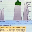 울릉도 암장 이미지