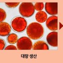 디자인주홍 이미지