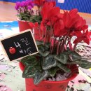 난나유치원 이미지