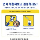 더블준 이미지