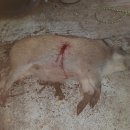 한수경로당 이미지