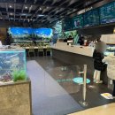 아쿠아필드 하남 푸드코트 이미지