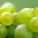 우재농장 이미지