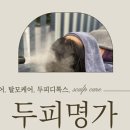 두피명가 네이버블로그