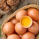 행복양계장 이미지