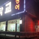 오작교장어 이미지