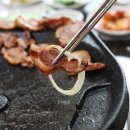 웰빙오리농원 이미지