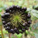 종만이농장 이미지