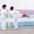 글로벌아이 태권도장 이미지