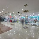 원주원예하나로노동조합 | 원주 단계동 다이소 새로 생겨서 가봤는데 규모가 생각보다 꽤 컸던 후기