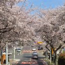 호근서호로 이미지