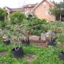 덕인축사 이미지