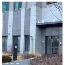 아트펫 갤러리 이미지