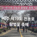현재 | 2026 제주왕벚꽃축제 전농로 후기 현재 개화상황 총정리