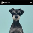 살롱드 멍 이미지