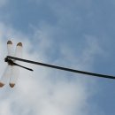 레미탈;시멘트;백시멘트;보도블럭;마사토;모래 이미지