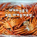 대게파는총각 동훈수산 포항 대게 홍게 포장 가격
