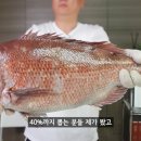 단골횟집 - 서구 충무대로255번길 16 | 단골횟집