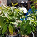 추억백화점 이미지