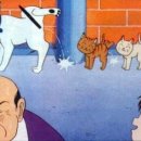 달려라 바우 이미지