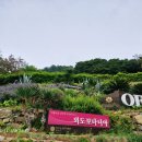 외도보타니아주 이미지