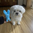 걷다 보니 4월