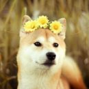 (주)한팀