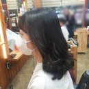 라움헤어트리 이미지