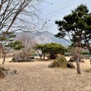 카오스371 | 전남 애견동반 펜션 카오스371을 방문하다