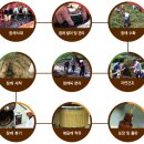 우명동참기름마을 이미지