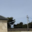 세세 | 제주도 풀빌라, 서귀포 감성숙소 산보롬 세세후기 #2