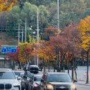 꽃동산어린이공원-2 이미지