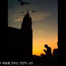 오직 예수! 찬미 예수! - 은혜로운 찬양 듣기 사이트/ 복음성가 연속듣기 사이트/ CCM 무료연속듣기 사이트/ 이미지