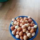 무성농장 이미지