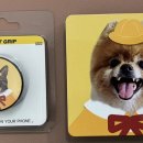 산호대로-27 이미지