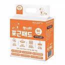 VIP애견